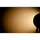 ADJ COB Cannon Wash ST DW