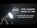 ADJ COB Cannon Wash ST DW