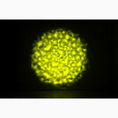 Eliminator Aqua LED 2, Multi Color LED 50 Watt Water Effect
