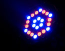 Eliminator LP 42 RGBW, 42 x 1 Watt LEDs (12 Red, 12 Green, 12 Blue, 6 White), 25 Degree Beam Angle