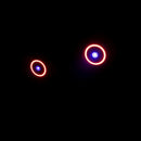 Eliminator Fantasy FX, 1 x 40 Watt RGBW Center Effect, 288 x RGB Circle Effect, Hexagon Shape