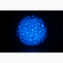 Eliminator Aqua LED 2, Multi Color LED 50 Watt Water Effect