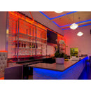 ADJ UBL12H, 1 Meter Linear Lime Infused Bar, 12 x 20 Watt HEX LED's, RGBAL Plus UV 17 Degree Beam Angle, High CRI of 90, Includes 20 Degree Diffusion Lens