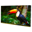 ADJ WMS1, 1.9mm Pixel Pitch Wall Mount Video Wall, 1 Meter x 1/2 Meter