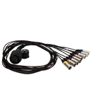 RCF CBL LKS 25-2 FANOUT, 25 Pin To 8X XLR, Cable 1.0 M, Fanout 1.0 M