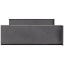 ADJ Aria X2 Shelf, 19' Rack Mount Shelf for Two Aria X2 or Two Net 4 Devices