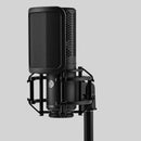 Shure KSM40C, Large Diaphragm Cardioid Condenser Microphone, Condenser Mic, Cardioid Studio Bundle
