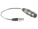 Anchor Audio 6000-XLR, Cable adapter (TA4F to XLR)