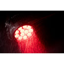 ADJ Encore LP12IP, IP65 Rated Quad Par with 4 in 1 Rgbl LEDs, 12 x 20 Watt, Tunable White, High CRI, PowerCon True 1 In/Out Connectors, DMX IP Rated 5 Pin DMX 10 Degree Beam Angle, Includes 25 Degree Lens Filter