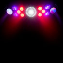 Eliminator Furious Five RG, 5 FX in One Lighting Effect, Moonflower, Strobe, Derby, Wash, and Laser Combo