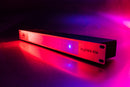 ADJ myDMX RM, 19" Rack Mount, My DMX 3.0, Stand Alone Mode, Upload Up to 16 Programs, Scenes, Shows, Cycles, 16 Trigger Playback Buttons