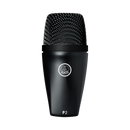 AKG P2, Instrument Microphone