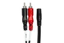HOSA - Stereo Breakout, 3.5 mm TRSF to Dual RCA, 10 ft