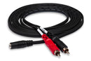 HOSA - Stereo Breakout, 3.5 mm TRSF to Dual RCA, 10 ft