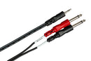 HOSA - Stereo Breakout, 3.5 mm TRS to Dual 1/4 in TS, 10 ft