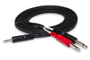HOSA - Stereo Breakout, 3.5 mm TRS to Dual 1/4 in TS, 10 ft