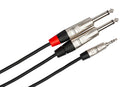 HOSA PRO - Pro Stereo Breakout, REAN 3.5 mm TRS to Dual 1/4 in TS, 10 ft