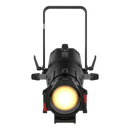 Chauvet Professional Ovation Rêve E2