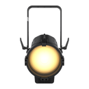 Chauvet Professional Ovation Rêve F2