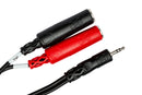 HOSA - Stereo Breakout, 3.5 mm TRS to Dual 1/4 in TSF