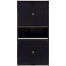 Avante Audio ATS218 Dual 18 Inch Active Line Subwoofer
