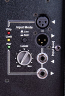 ParaSource 15" powered Subwoofer - w/fly points