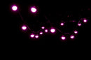 ADJ Color Strand Led - BlowOut Specials