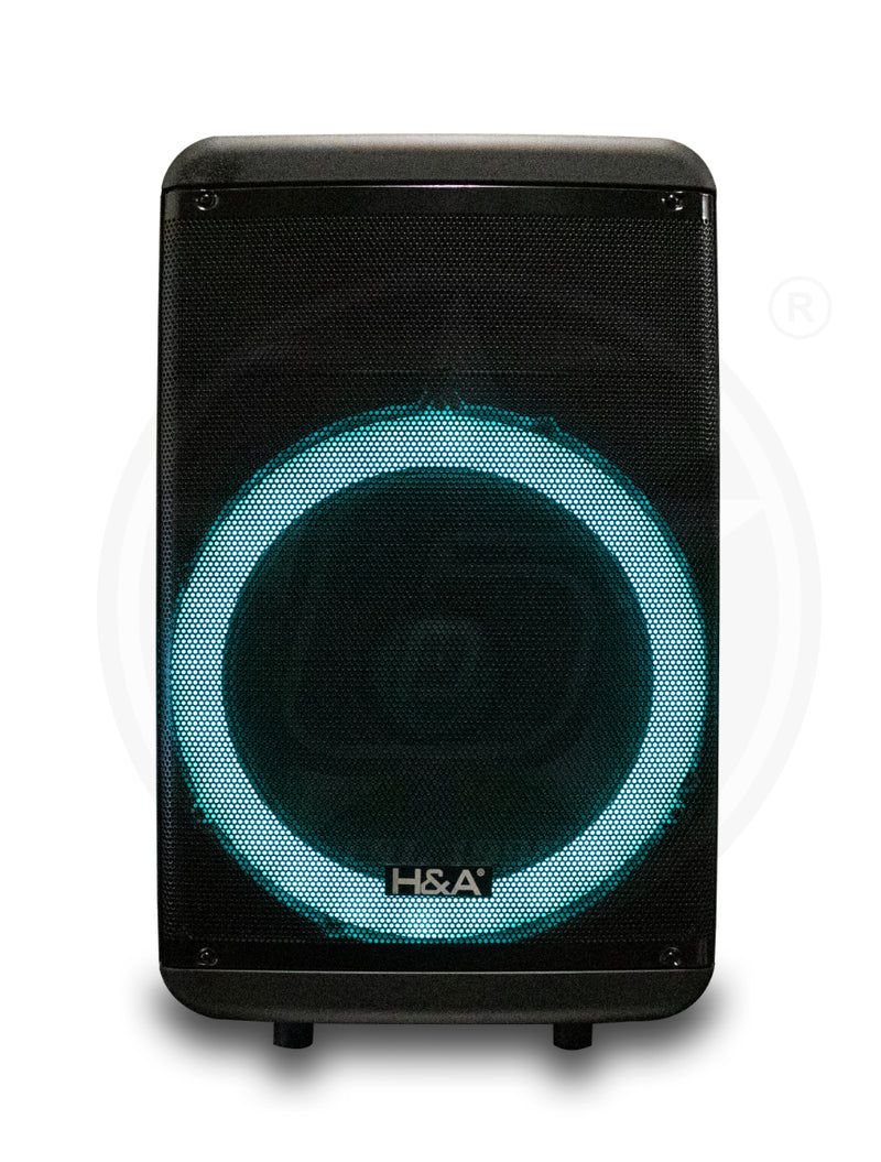 H&A TQ-LT1523 15 In PRO Rechargeable BT Speaker