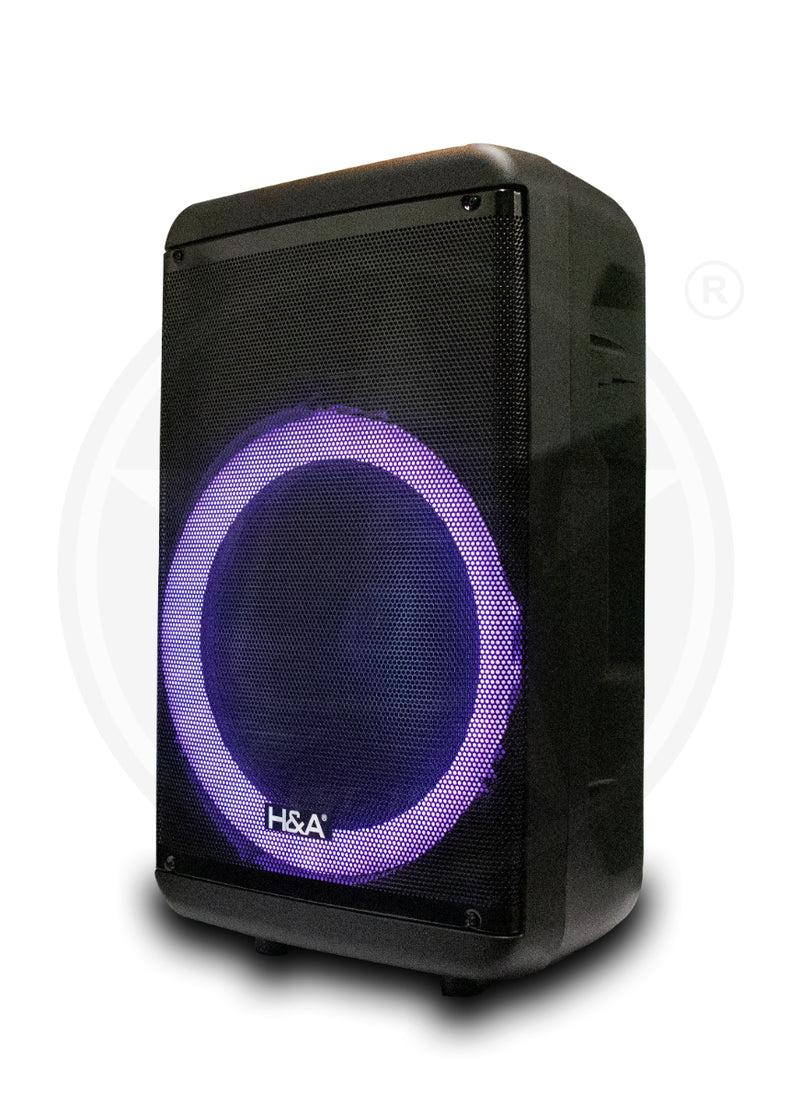 H&A TQ-LT1523 15 In PRO Rechargeable BT Speaker