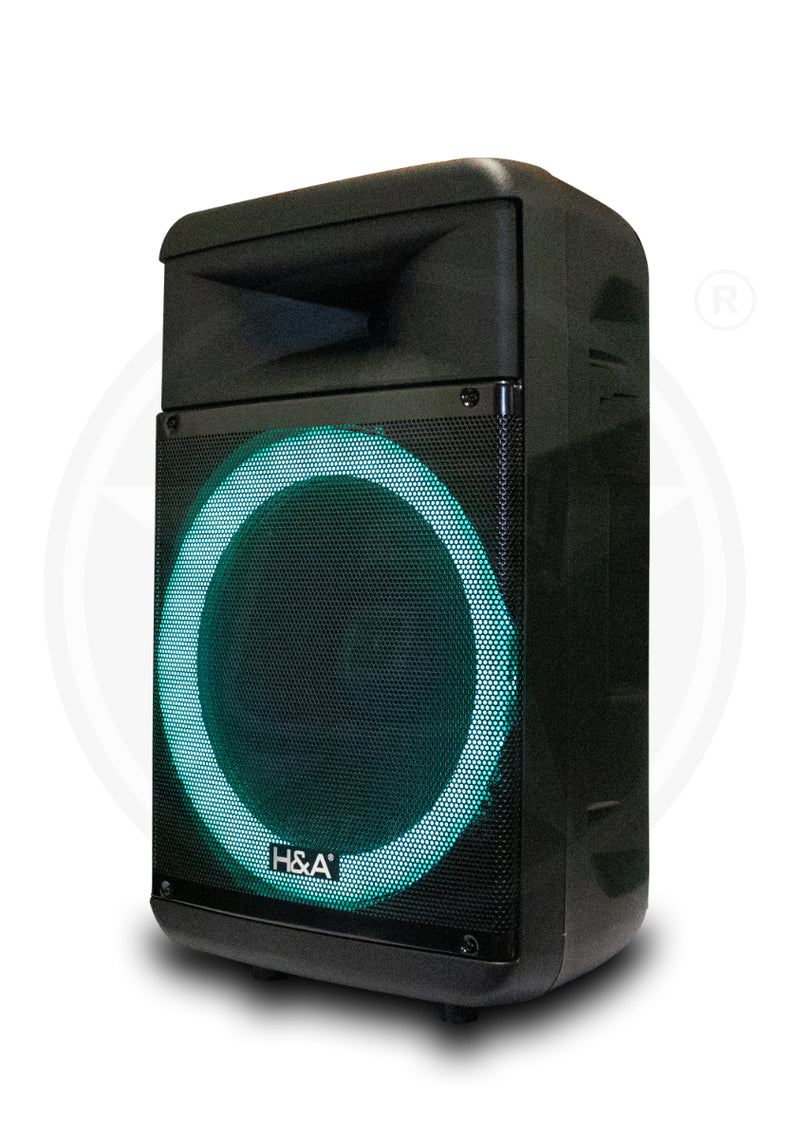 H&A TQ-LT1525 15 In PRO Rechargeable BT Speaker