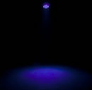 Eliminator LP 12 HEX