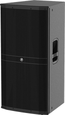 Mackie DRM315-P
