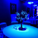 ADJ PinPoint Go Color